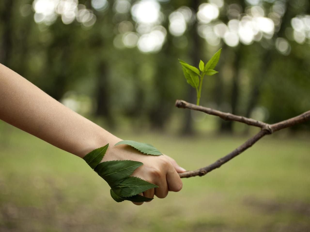 Corporate Wellbeing